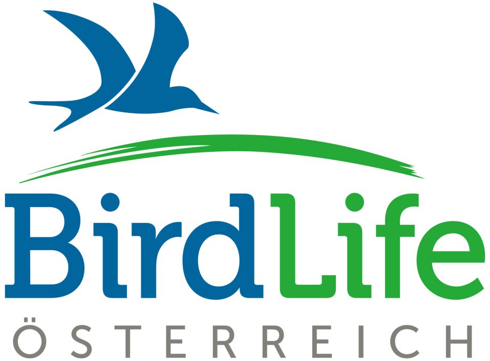 Wir beflügeln deine Verpackungs – Ideen! Birdlife Austria Kooperation